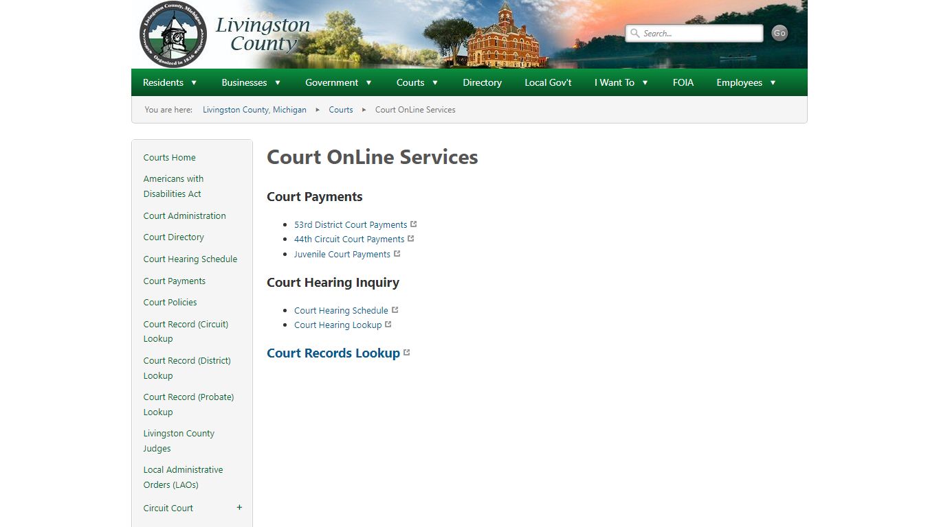 Court OnLine Services - livgov.com